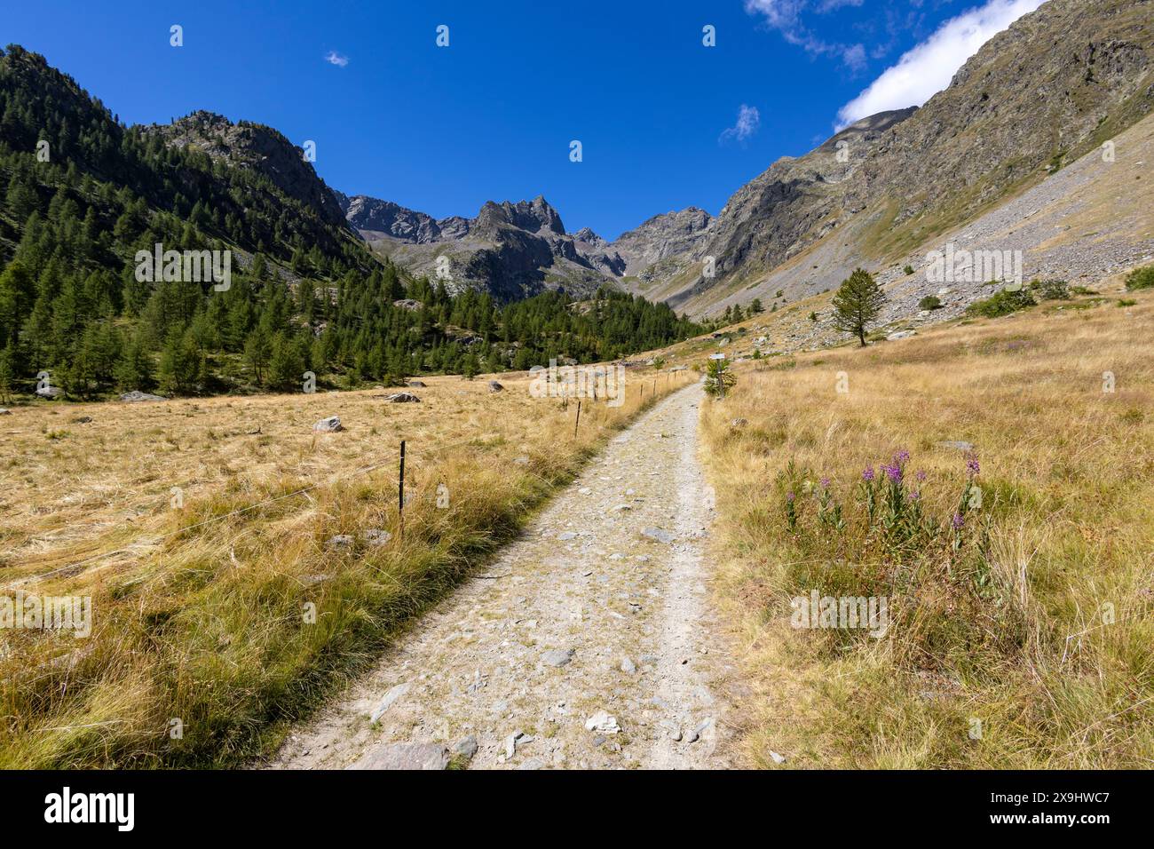 The picturesque valley in the Maritime Alps in the municipality of Vinadio, province of Cuneo, Piedmont, Italy Stock Photo