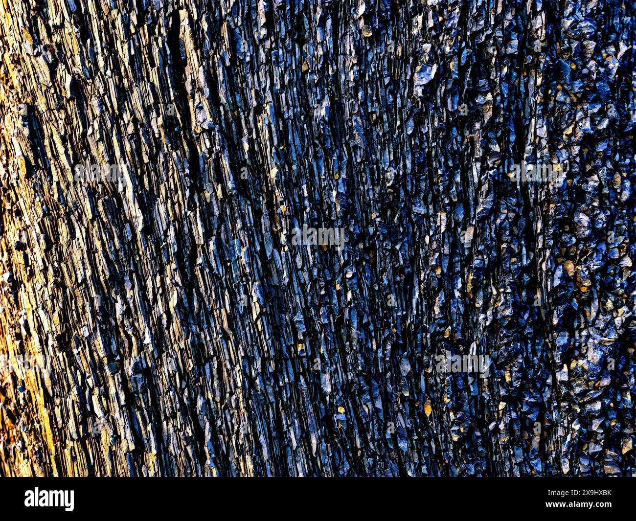 Shale A thin piece of shale with fine layered sediments rotating to ...