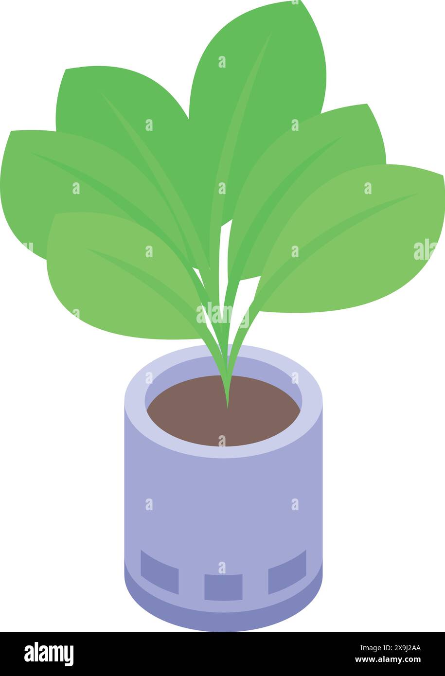 Aesthetic house plant Stock Vector Images - Alamy