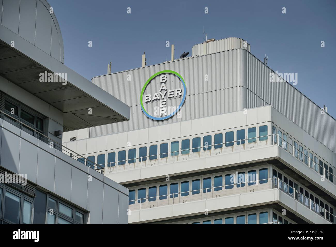 Bayer AG, Sellerstraße, Wedding, Mitte, Berlin, Deutschland Stock Photo ...