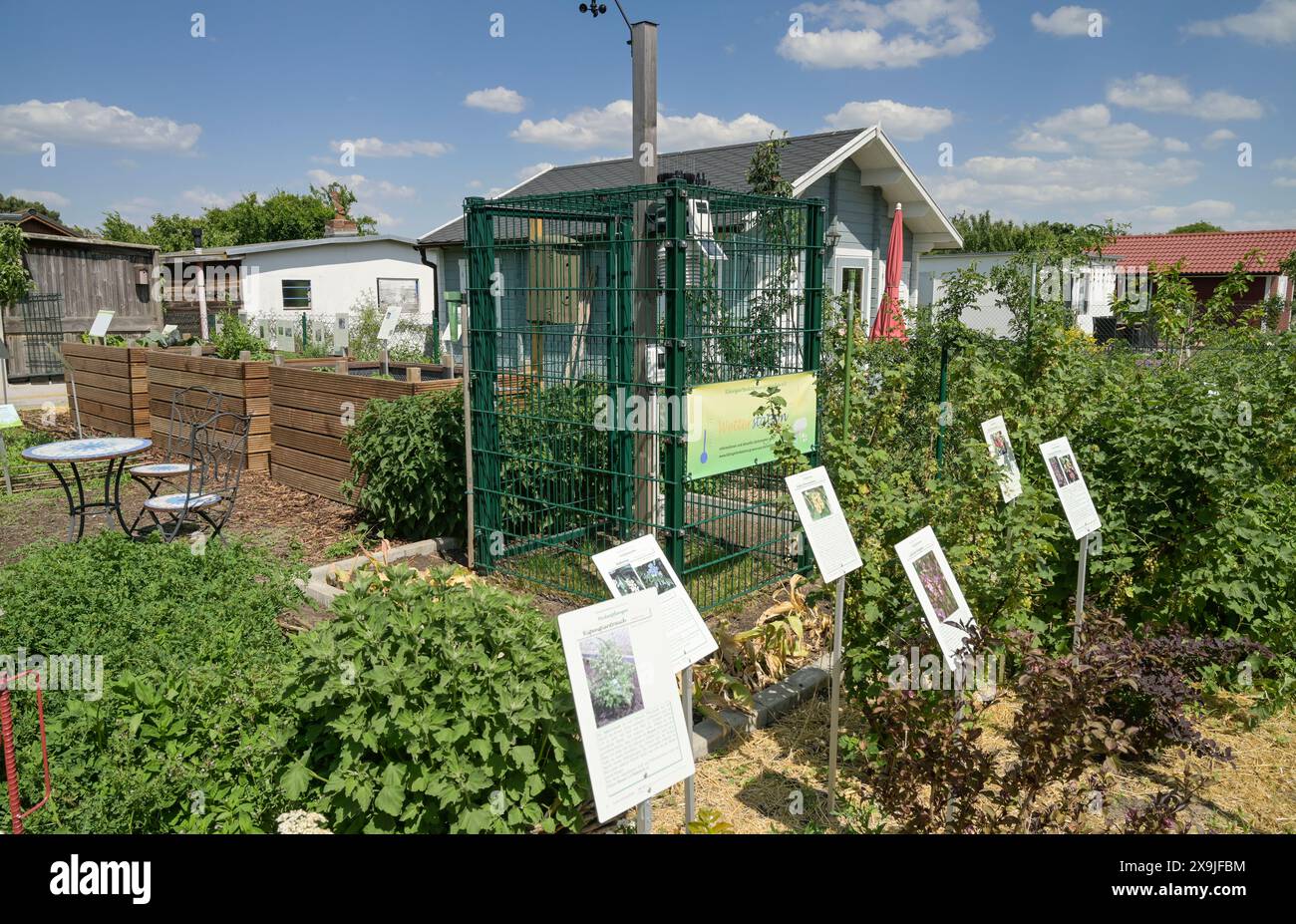 Klima Schaugarten, Kolonie Grüne Aue am Priesterweg / Grazer Damm, Schöneberg, Tempelhof-Schöneberg, Berlin, Deutschland Stock Photo
