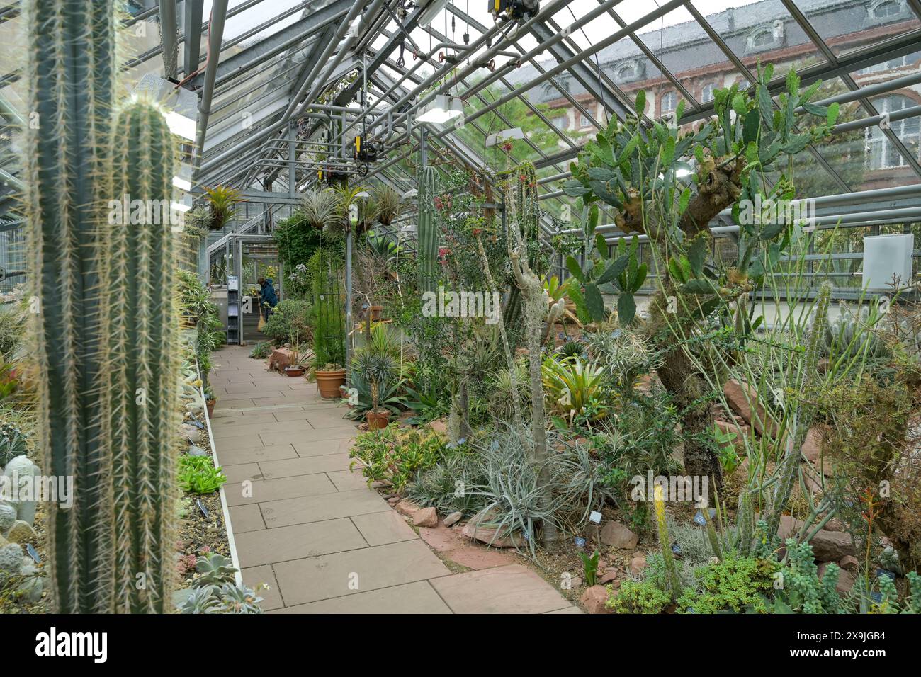 Sukkulentenhaus, Botanischer Garten der Universität, Spalengraben