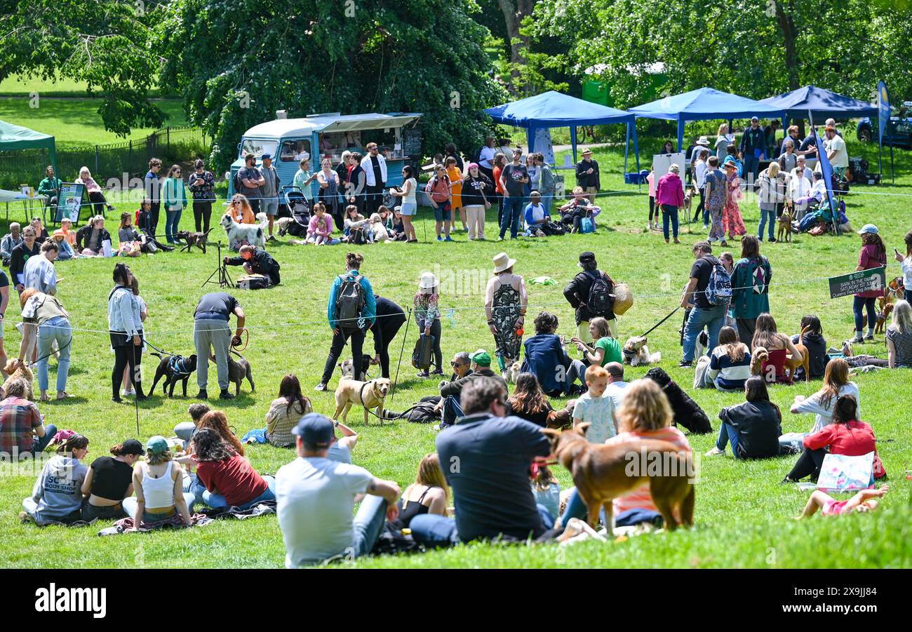 Brighton UK 1st June 2024 Dogs and their owners take part in the Bark