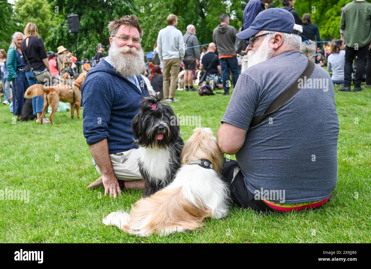 Brighton UK 1st June 2024 Dogs and their owners take part in the Bark