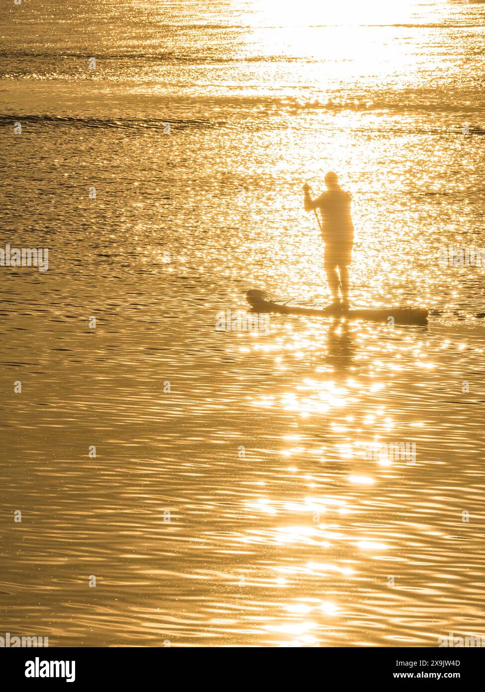 A single person stand up paddleboards across a calm body of water at sunset. The sunlight reflects off the water, creating a dazzling golden hue. The Stock Photo
