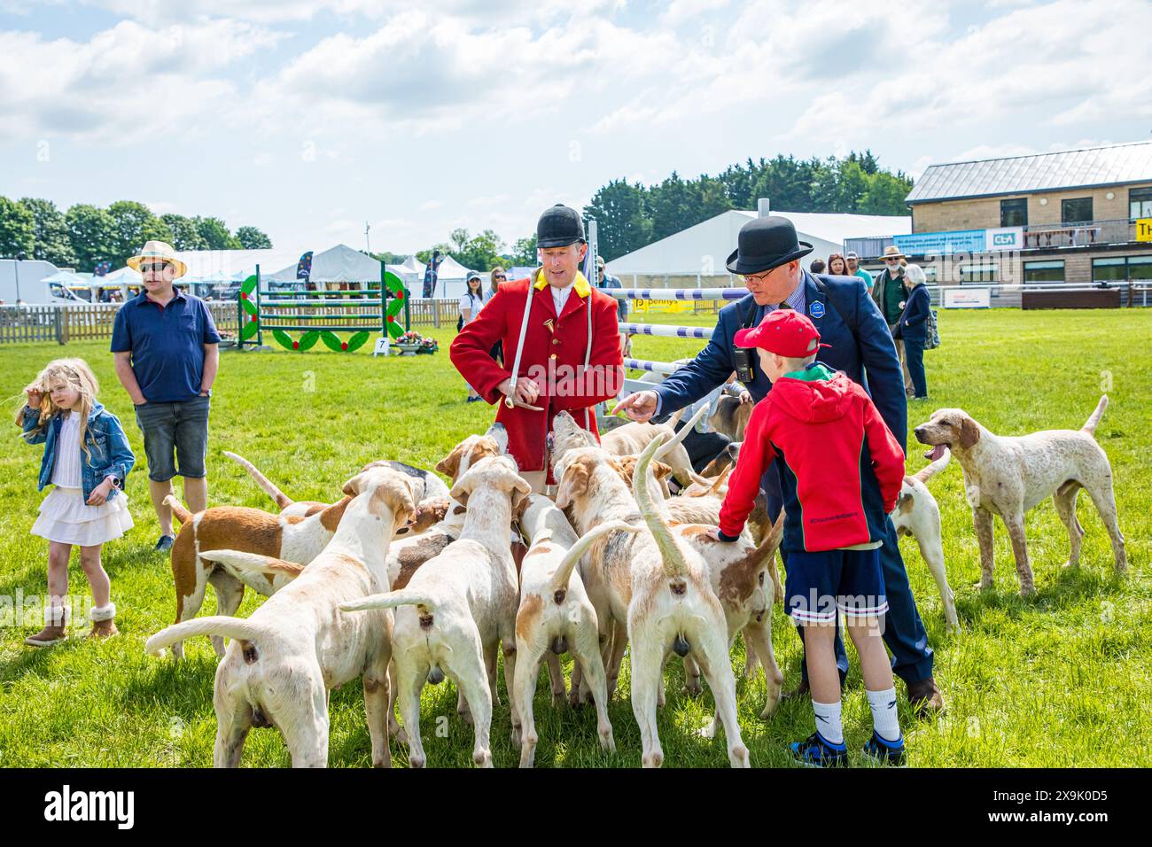 SHEPTON MALLET, SOMERSET, UK, 1ST JUNE, 2024. Children having fun meeting, stroking and petting a pack of fox hounds, watched over by the Master of the hunt dressed in hunting pink. Credit John Rose/Alamy Live News Stock Photo