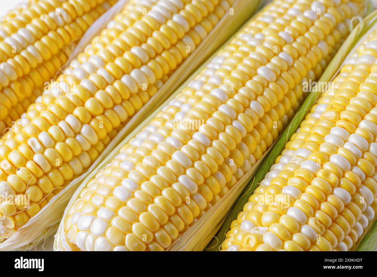 Yellow fresh ears of sweet corn background. Fresh raw corncob with ...