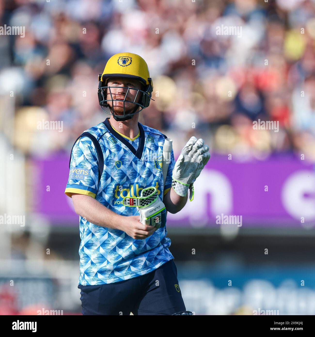 Birmingham, UK. 01st June, 2024. Alex Davies leaves the field, dismissed for 12 during the Vitality T20 Blast match between Birmingham Bears and Notts Outlaws at Edgbaston Cricket Ground, Birmingham, England on 1 June 2024. Photo by Stuart Leggett. Editorial use only, license required for commercial use. No use in betting, games or a single club/league/player publications. Credit: UK Sports Pics Ltd/Alamy Live News Stock Photo