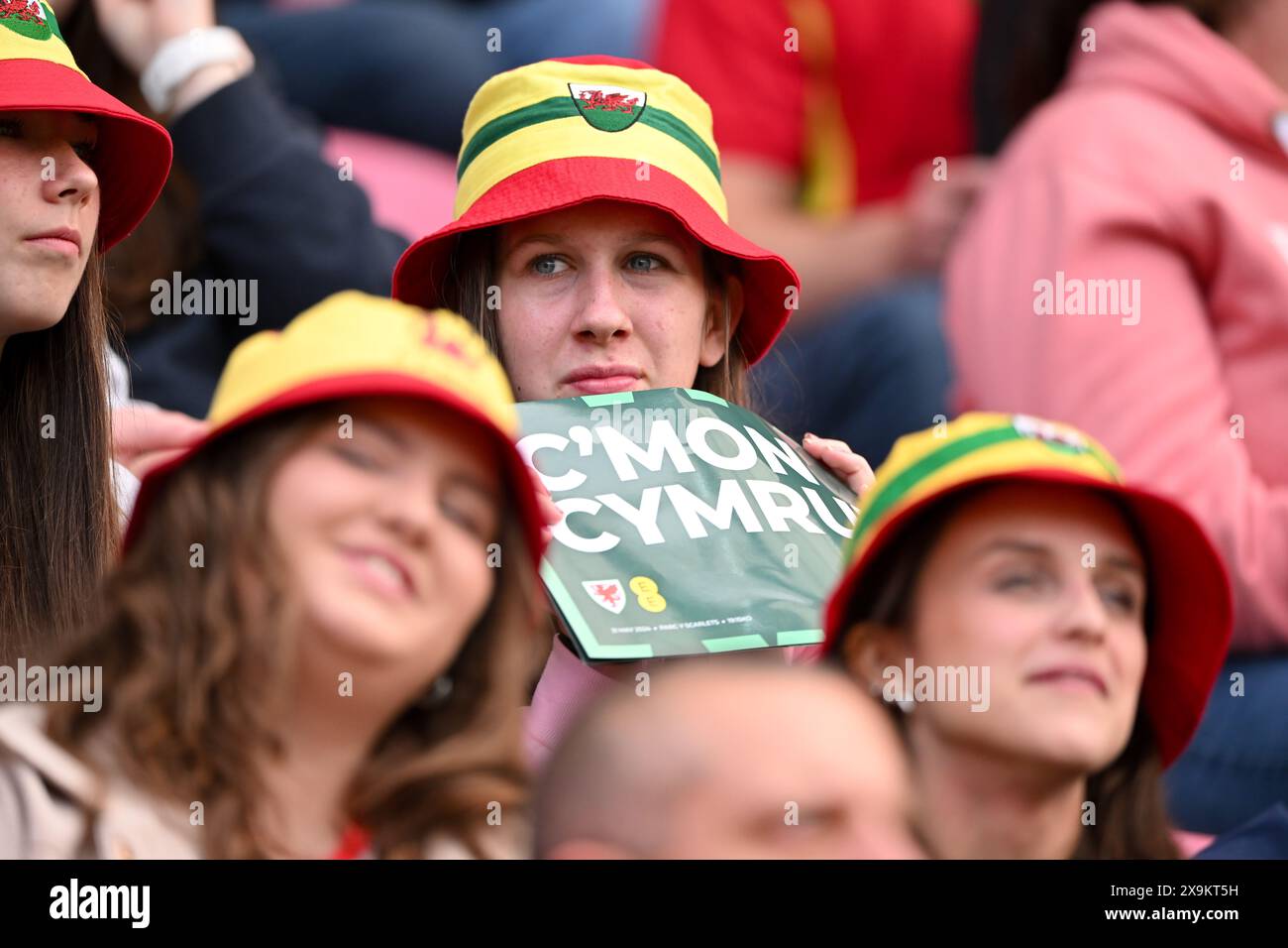 LLANELLI, WALES - 31 MAY 2024: Wales fans during the UEFA Women’s Euro 2025 qualifier League B match between Wales Women and Ukraine Women at Parc y Scarlets in Llanelli on the 31st of May 2024. (Pic by Ashley Crowden/FAW) Stock Photo