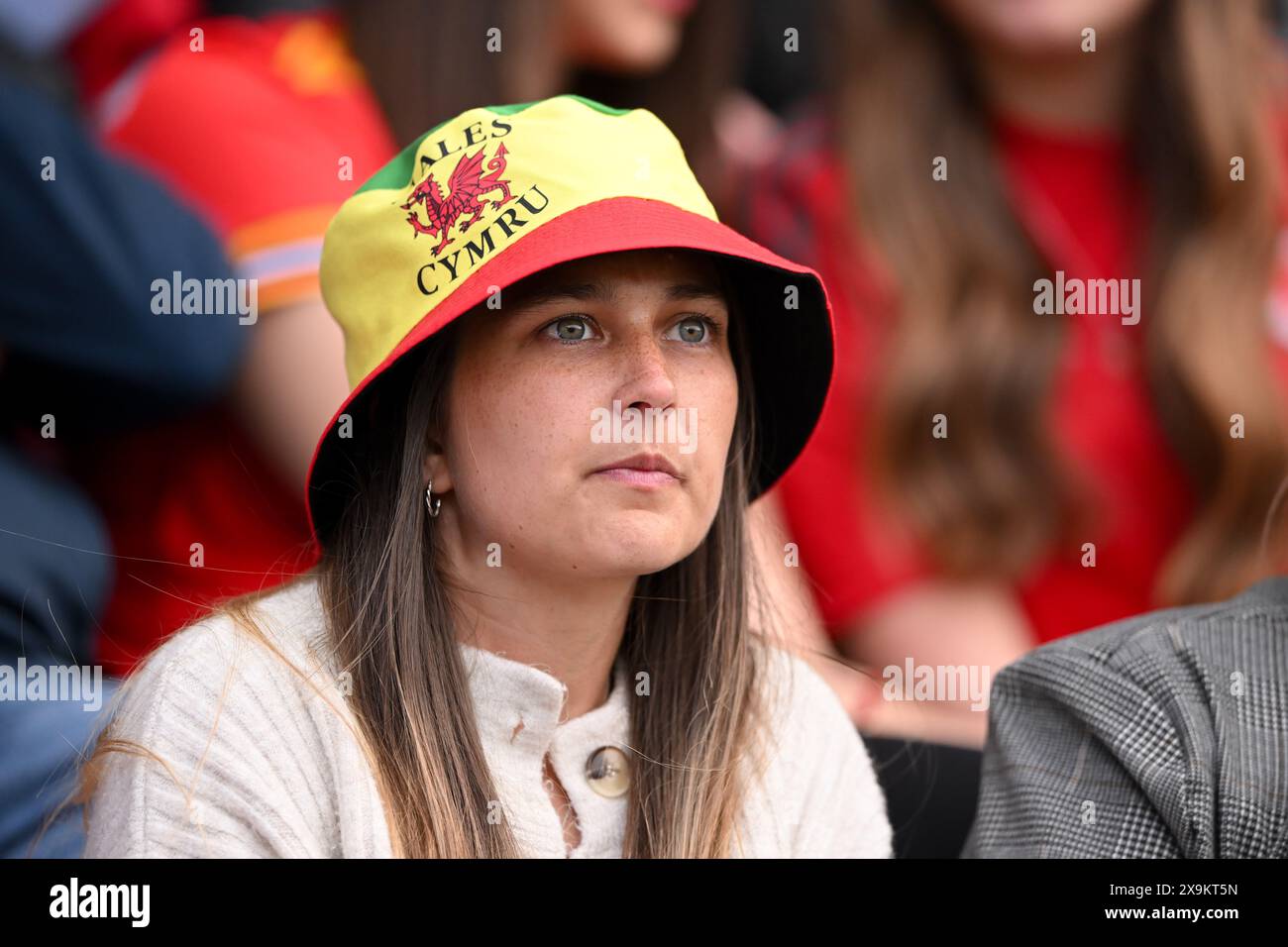LLANELLI, WALES - 31 MAY 2024: Wales fans during the UEFA Women’s Euro 2025 qualifier League B match between Wales Women and Ukraine Women at Parc y Scarlets in Llanelli on the 31st of May 2024. (Pic by Ashley Crowden/FAW) Stock Photo
