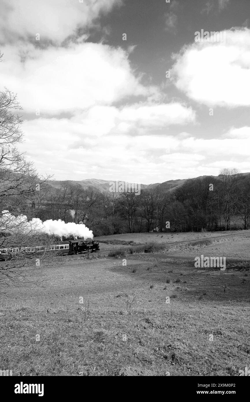 'Prince of Wales' at Troed-rhiw-felen between Capel Bangor and Nantyronen with a mixed train. Stock Photo