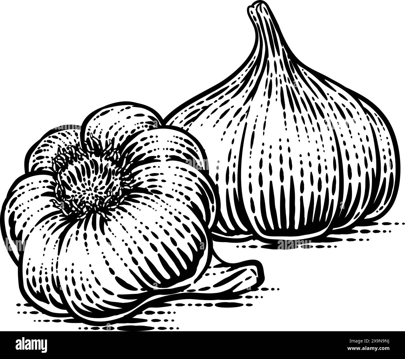 Garlic Vegetable Vintage Woodcut Illustration Stock Vector