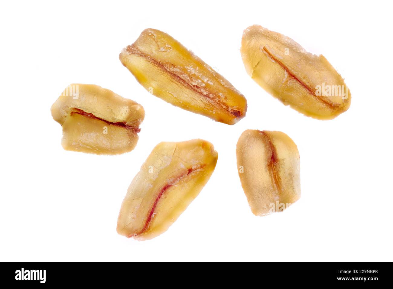 Focus stacked image of bulgur wheat grains photographed at 1:1 magnification against white background. Stock Photo