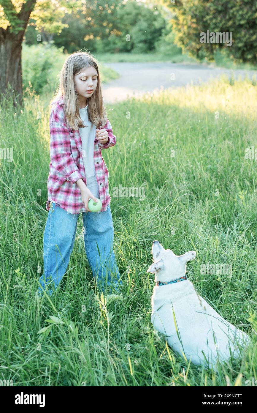 A child with a dog in nature, girl playing with a dog on green grass ...