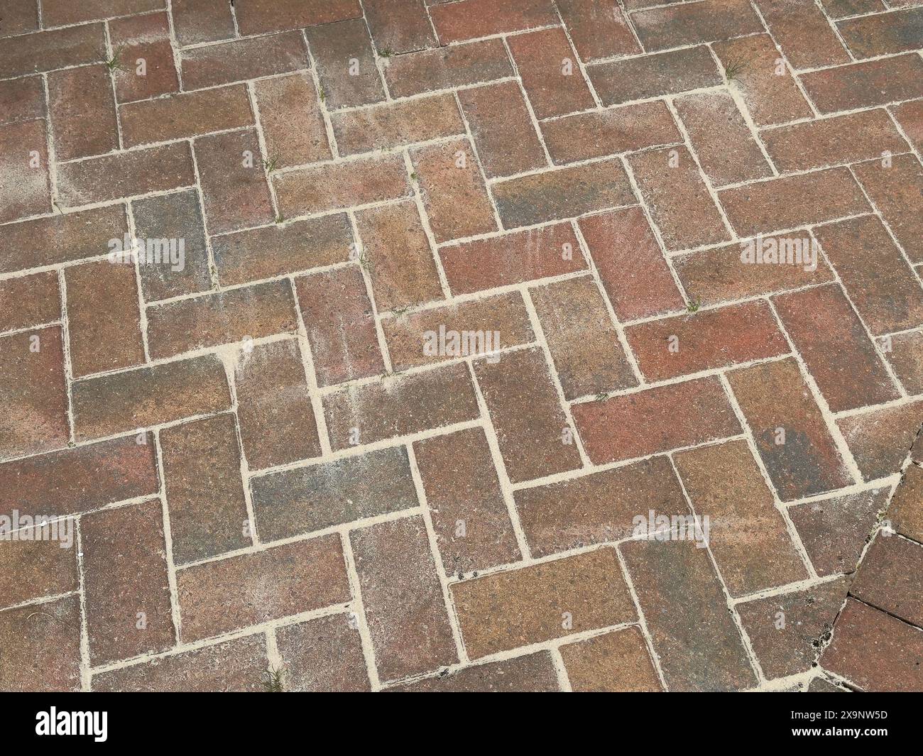 Monoblock paving blocks on patio with sand between joints Stock Photo
