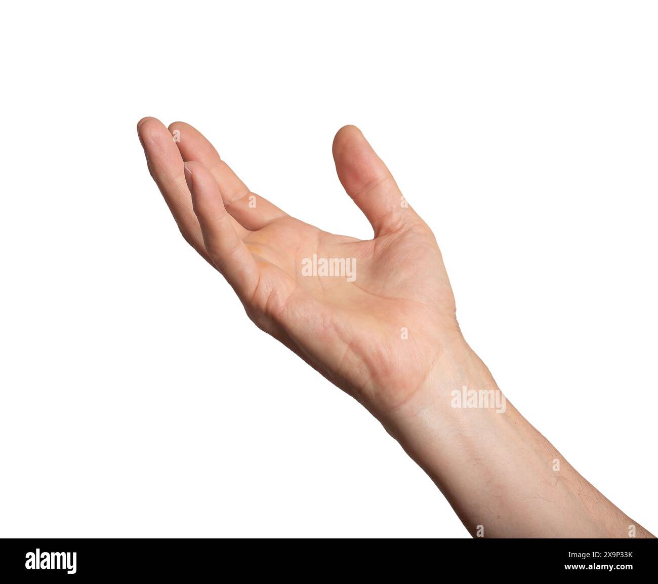 Hand arm isolated white take up hold person. Reach grab man gesture open out background human catch empty. Reaching space product finger object palm a Stock Photo