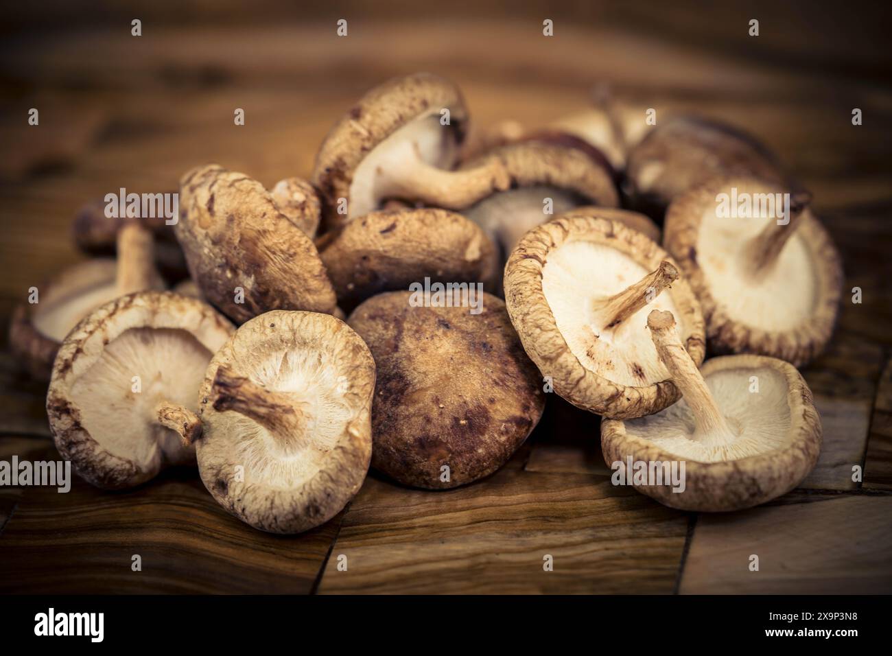 Shiitake mushrooms Lentinula edodes on olive wood Stock Photo