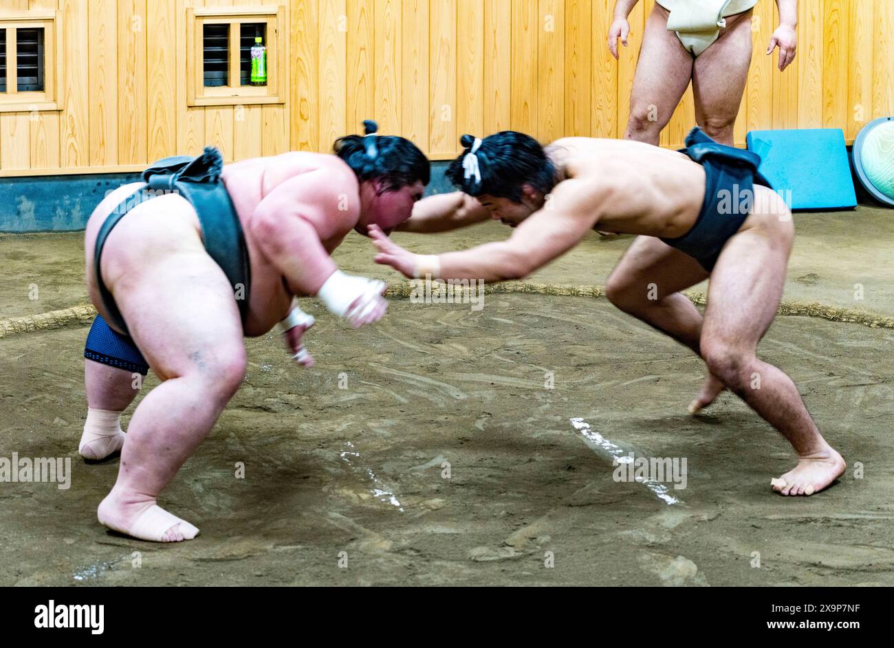 Two sumo wrestlers face off in a match, showcasing the intense focus and strength of this ancient sport Stock Photo