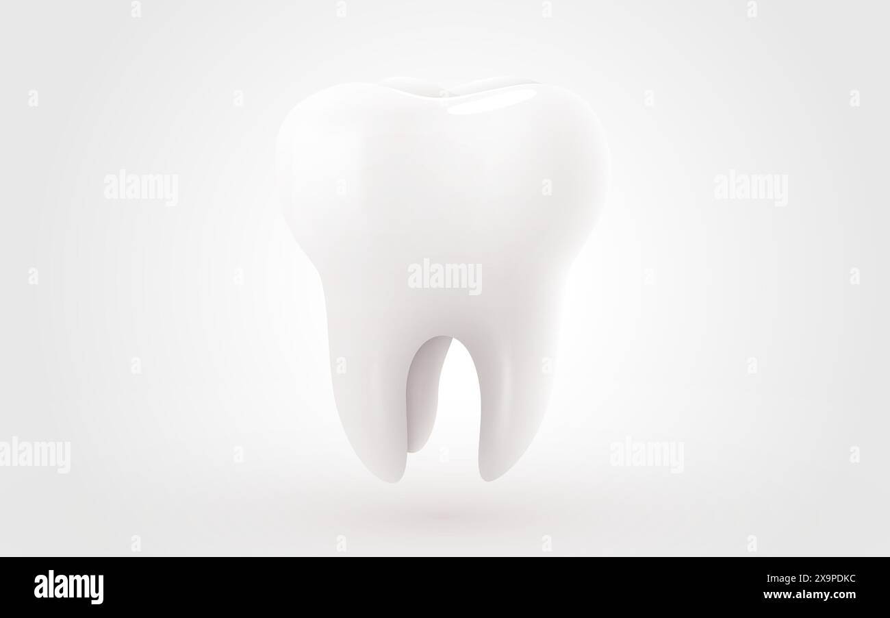 Tooth isolated on white background. Dentistry concept. Vector ...