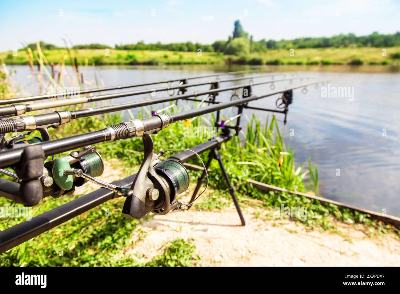 bling fishing pole Bling Rods