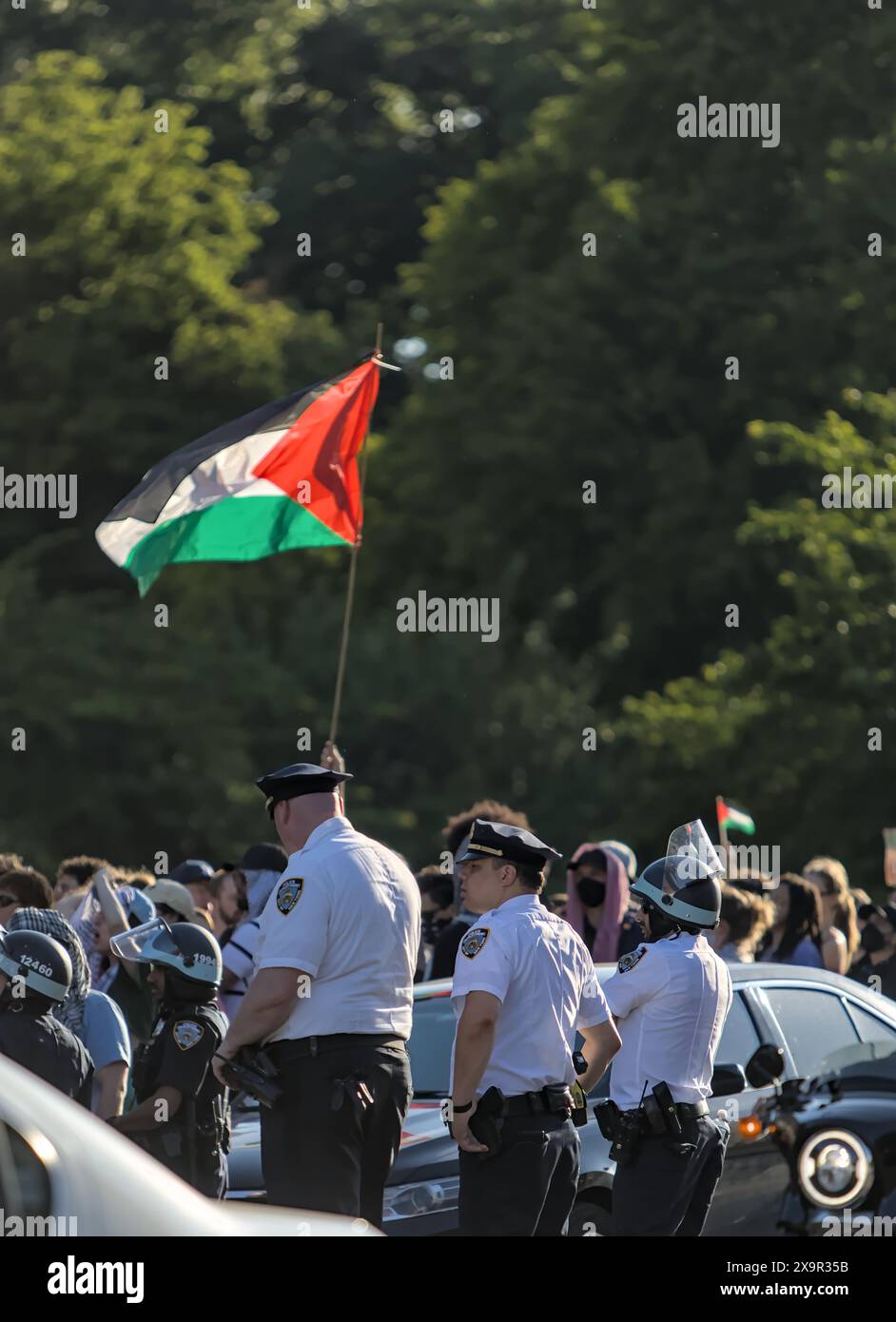 Brooklyn, NY - May 31 2024: Pro Palestine protesters wave Palestinian ...