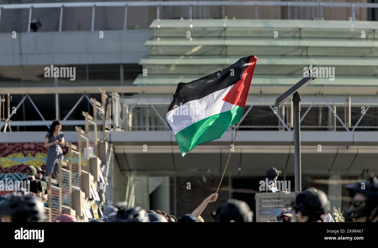 Brooklyn, NY - May 31 2024: Pro Palestine protesters wave Palestinian ...