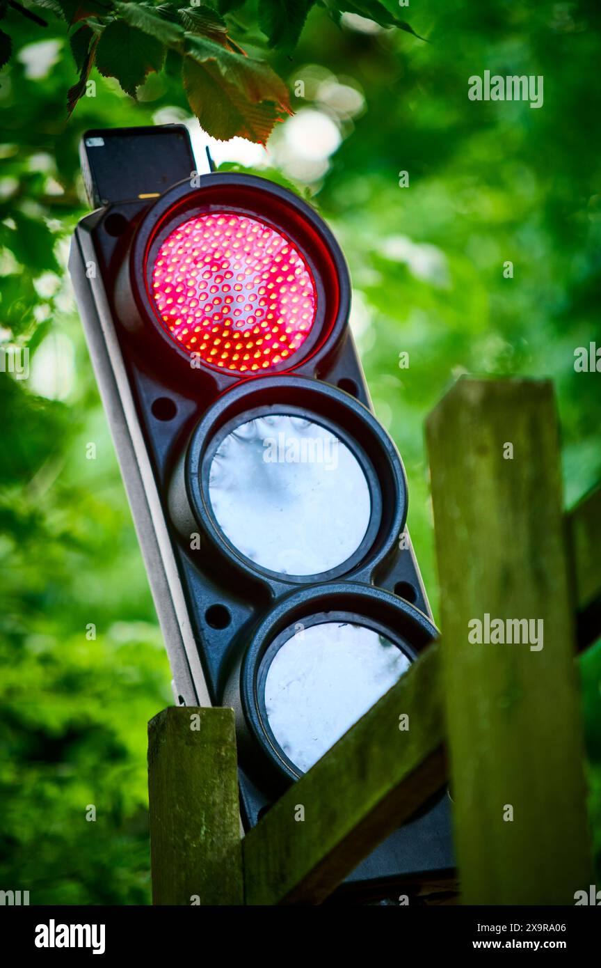 Temporary traffic lights on red set against trees Stock Photo - Alamy