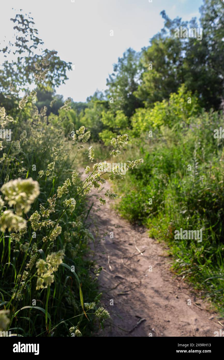 The road goes into the distance Stock Photo - Alamy