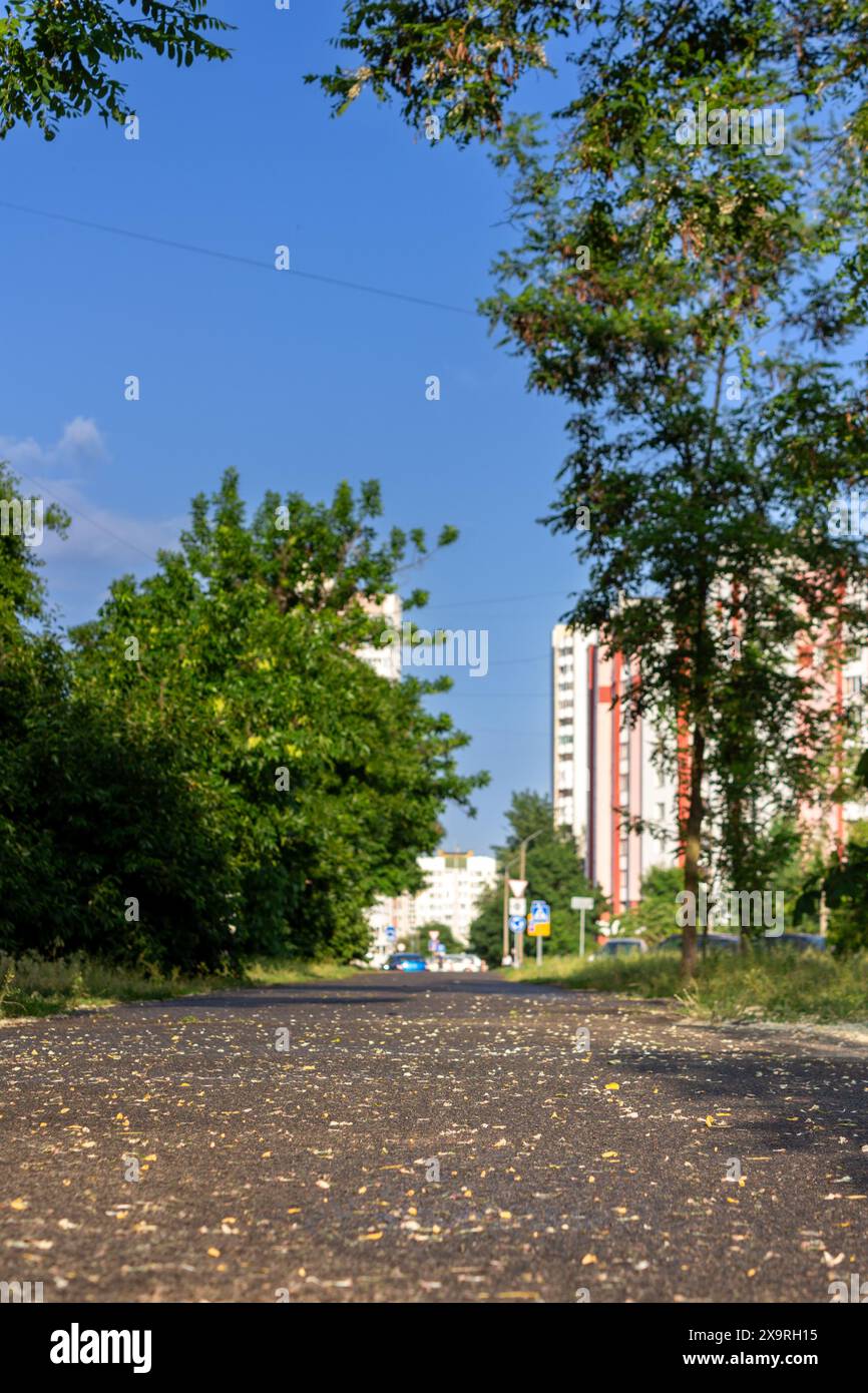 The road goes into the distance Stock Photo - Alamy
