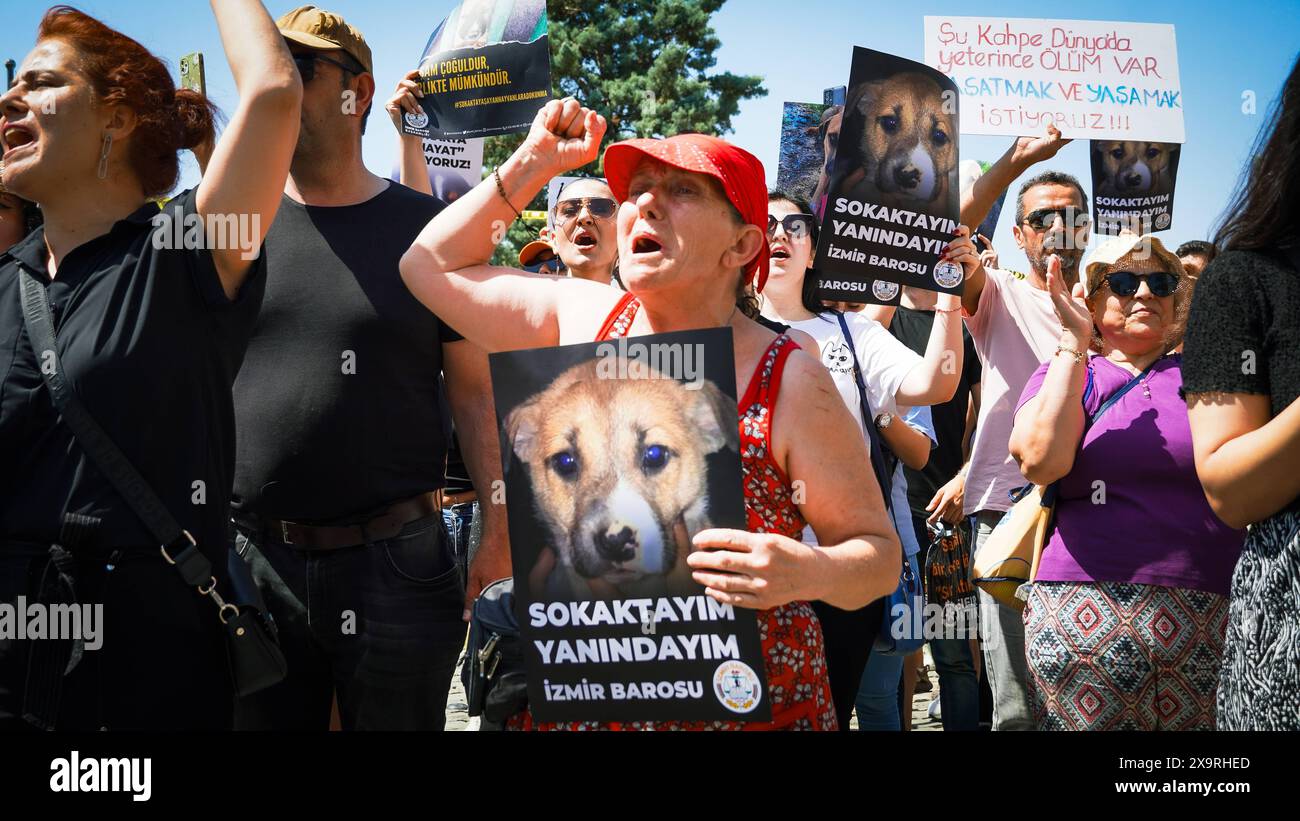 Animal rights activists held a rally across Turkey Animal rights activists came together in many provinces of Turkey today and protested the changes that is planning to make in the Animal Protection Law . Initiatives, animal rights advocates and the Izmir Bar Association spoke at the Justice Rally and opposed the law. If the law is adopted, stray dogs whose population has increased will be collected, and if they are not adopted within 30 days, they will be euthanized. Izmir Konak Turkey Turkey Copyright: xIdilxToffolox DSC06948 Stock Photo