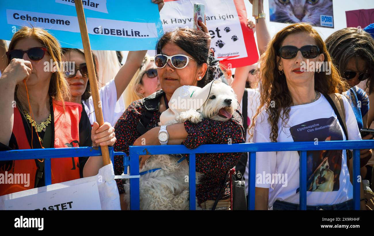 Animal rights activists held a rally across Turkey Animal rights activists came together in many provinces of Turkey today and protested the changes that is planning to make in the Animal Protection Law . Initiatives, animal rights advocates and the Izmir Bar Association spoke at the Justice Rally and opposed the law. If the law is adopted, stray dogs whose population has increased will be collected, and if they are not adopted within 30 days, they will be euthanized. Izmir Konak Turkey Turkey Copyright: xIdilxToffolox DSC07058 Stock Photo