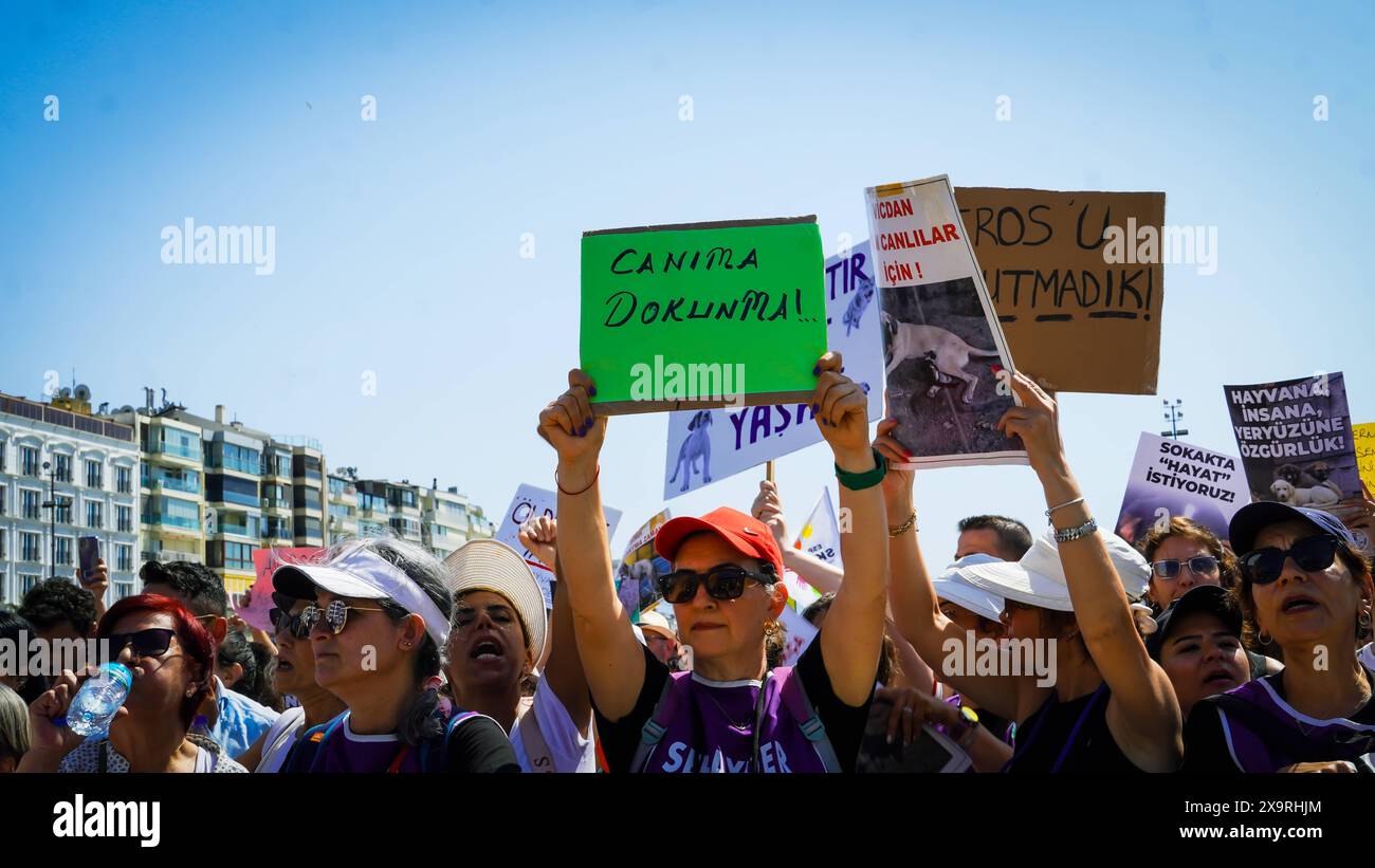 Animal rights activists held a rally across Turkey Animal rights