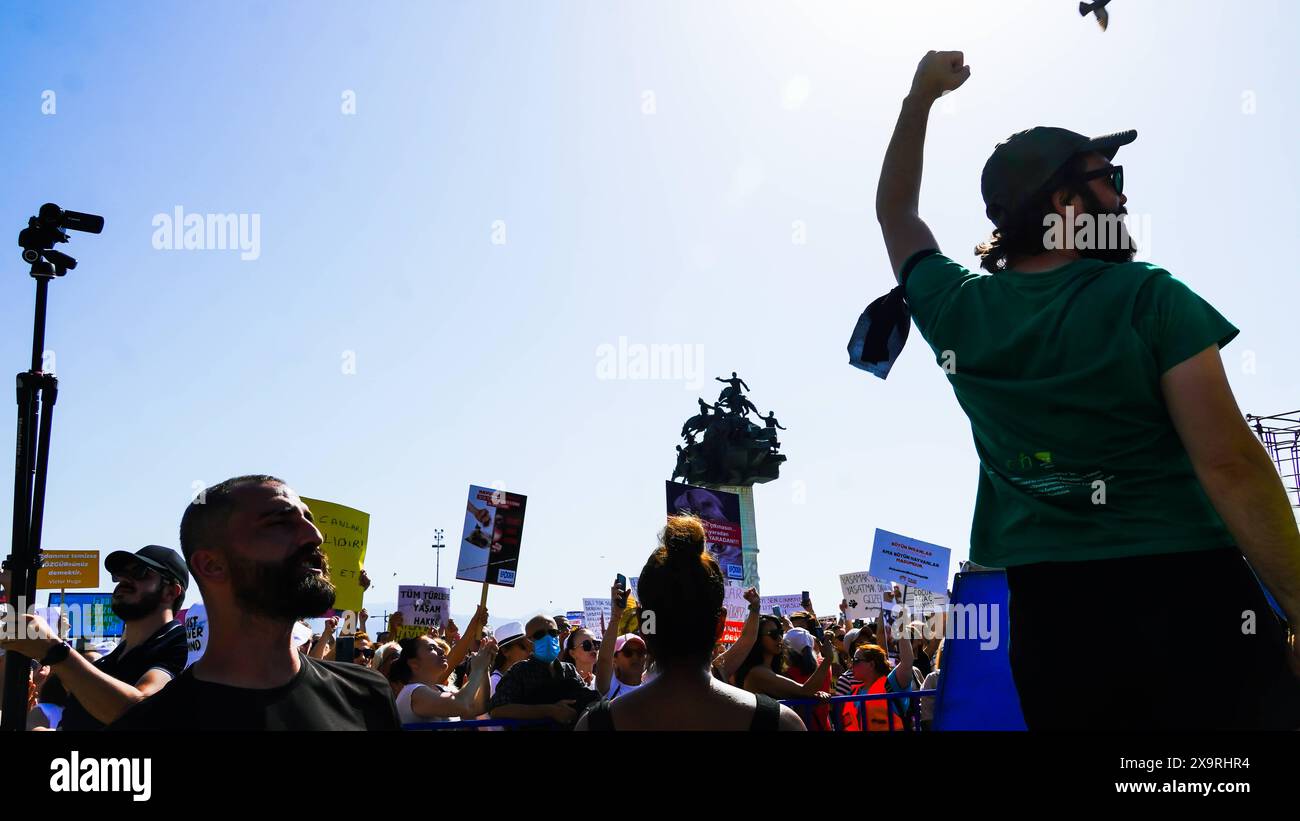 Animal rights activists held a rally across Turkey Animal rights ...
