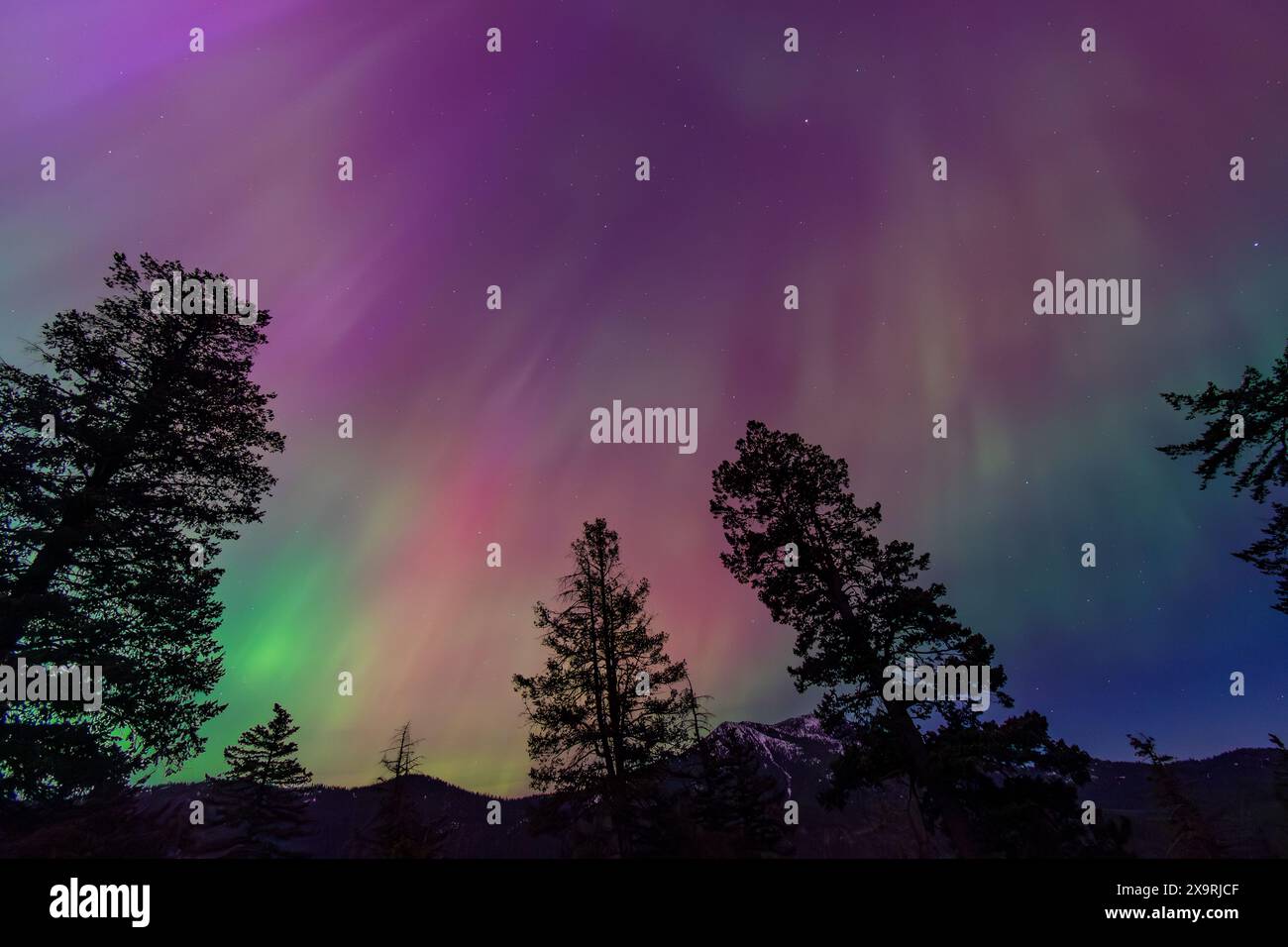 Amazing Aurora Borealis Northern Lights Seen Over Washington State North Cascades during massive