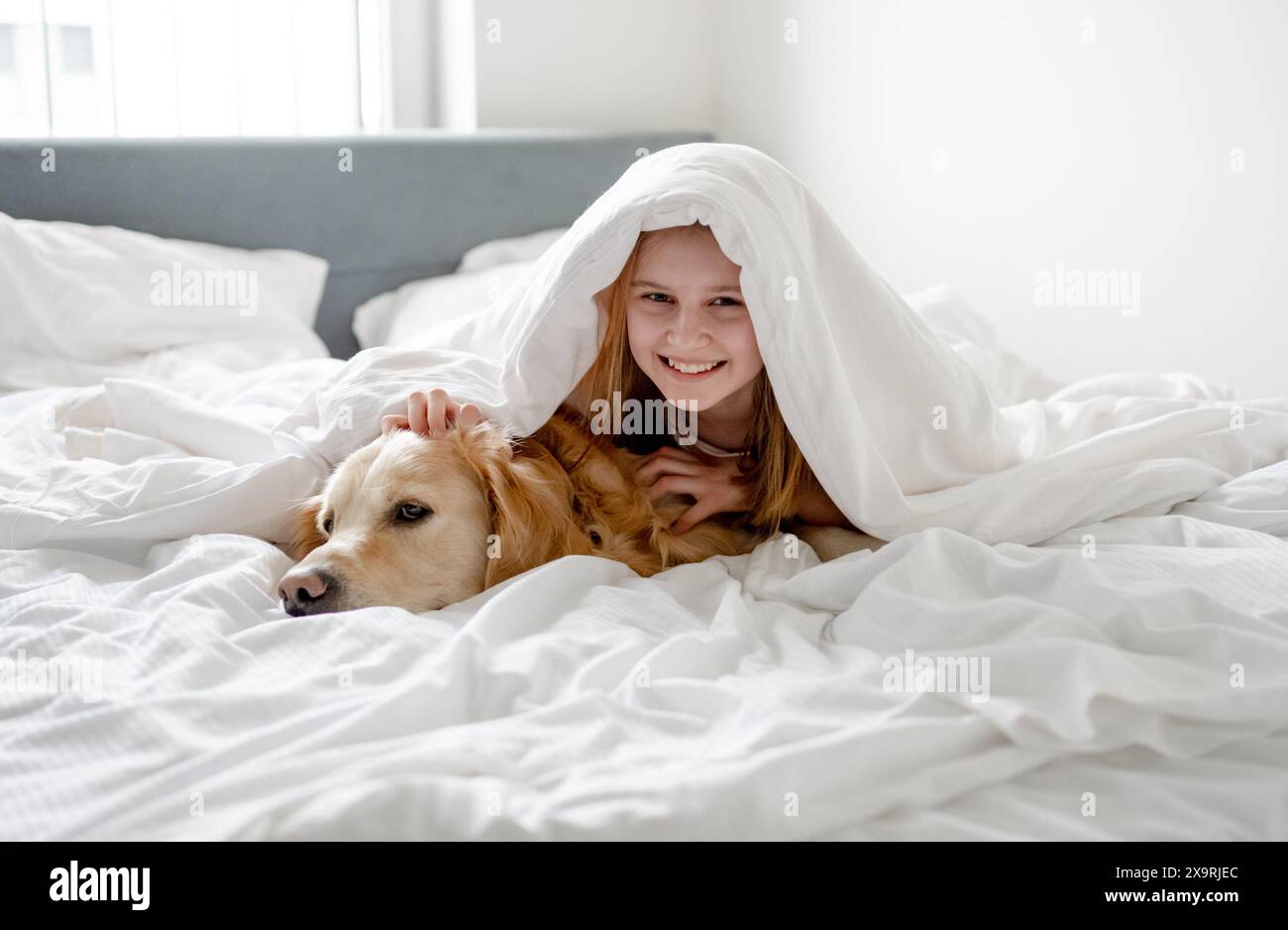 Girl Lies Under Blanket With Her Golden Retriever Dog Stock Photo - Alamy