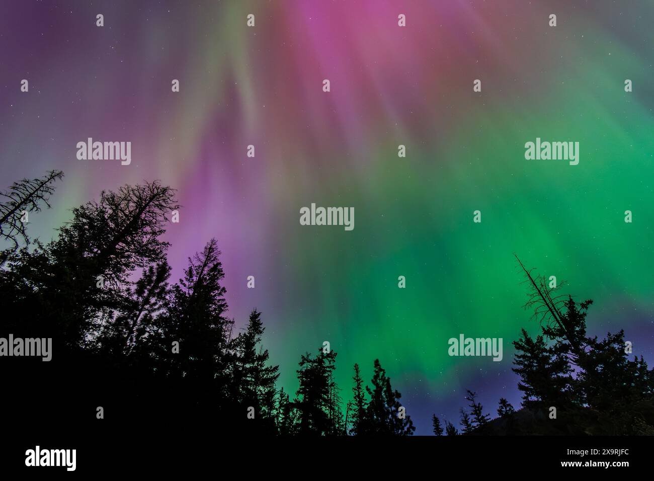 Aurora Borealis Washington State 2024 Etti Jennilee