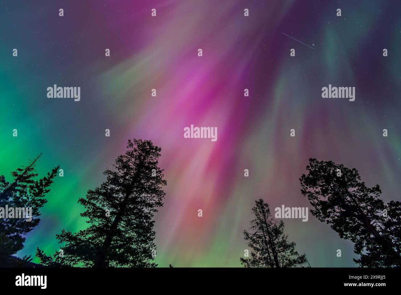 Amazing Aurora Borealis Northern Lights Seen Over Washington State