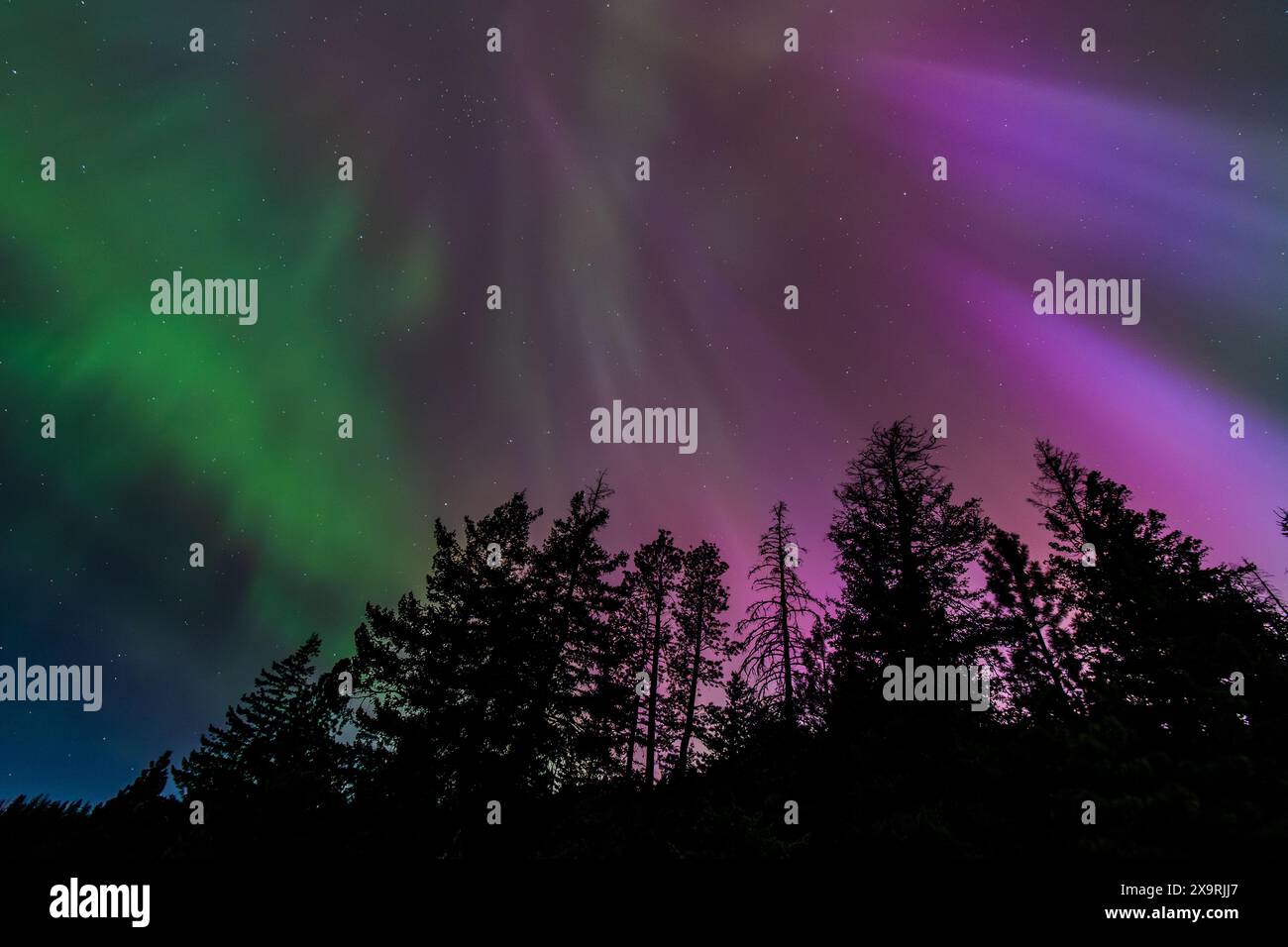 Amazing Aurora Borealis Northern Lights Seen Over Washington State