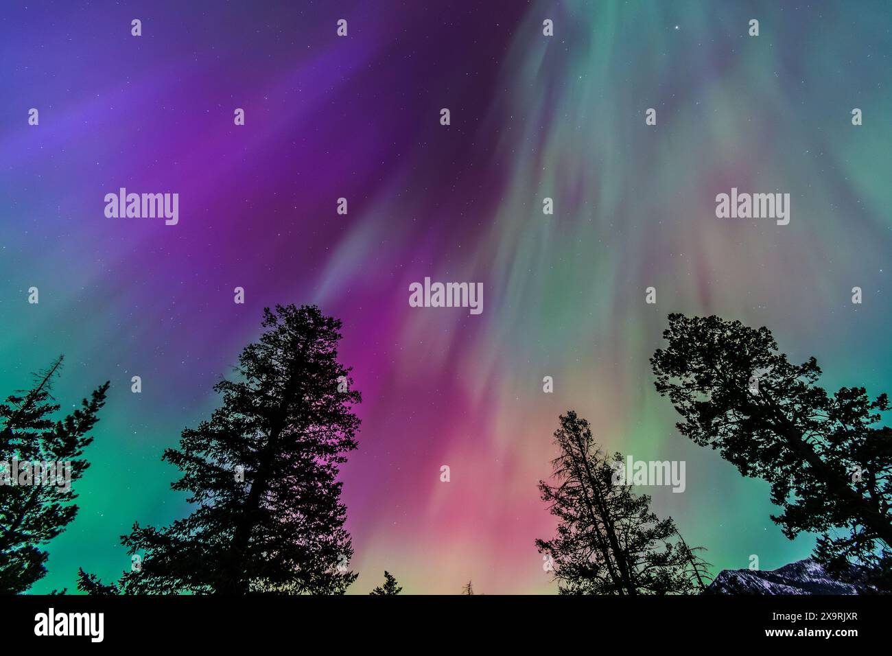 Amazing Aurora Borealis Northern Lights Seen Over Washington State