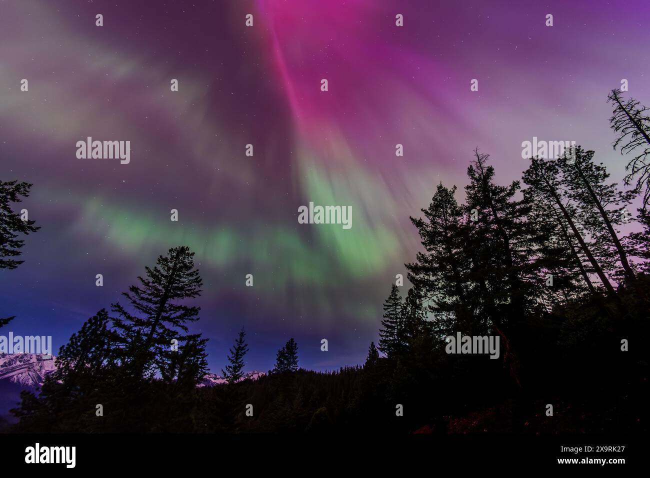 Amazing Aurora Borealis Northern Lights Seen Over Washington State