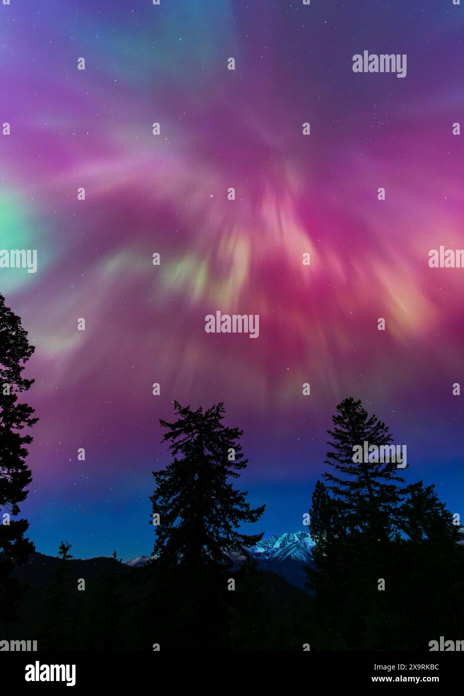Amazing Aurora Borealis Northern Lights Seen Over Washington State