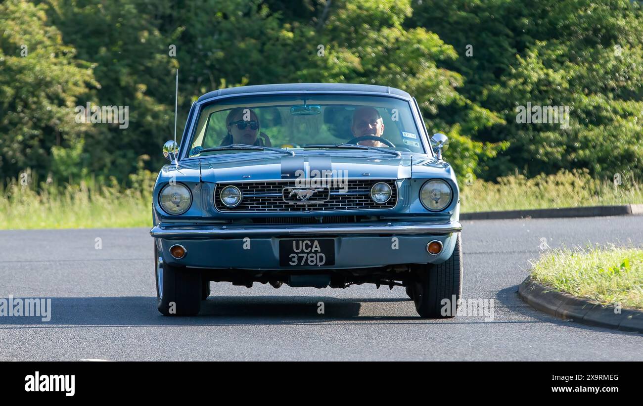 Stony Stratford,UK - June 2nd 2024: 1966 Ford Mustang classic American car driving on a British country road Stock Photo