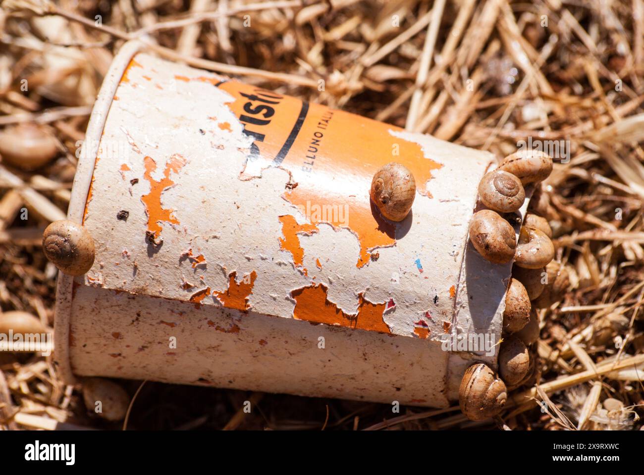 Coffee cup trash hi-res stock photography and images - Alamy
