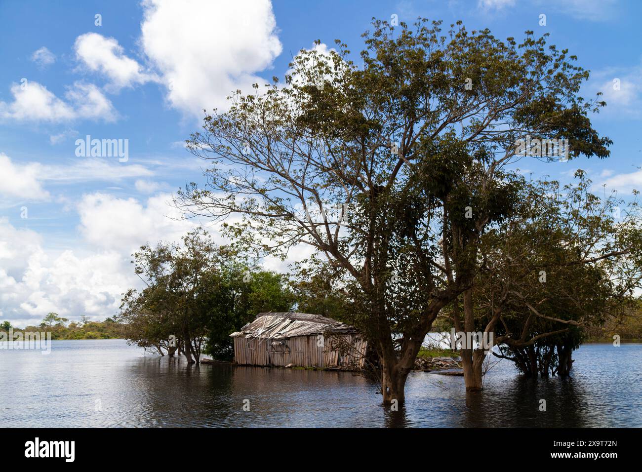 Flooded house on the Amazon river