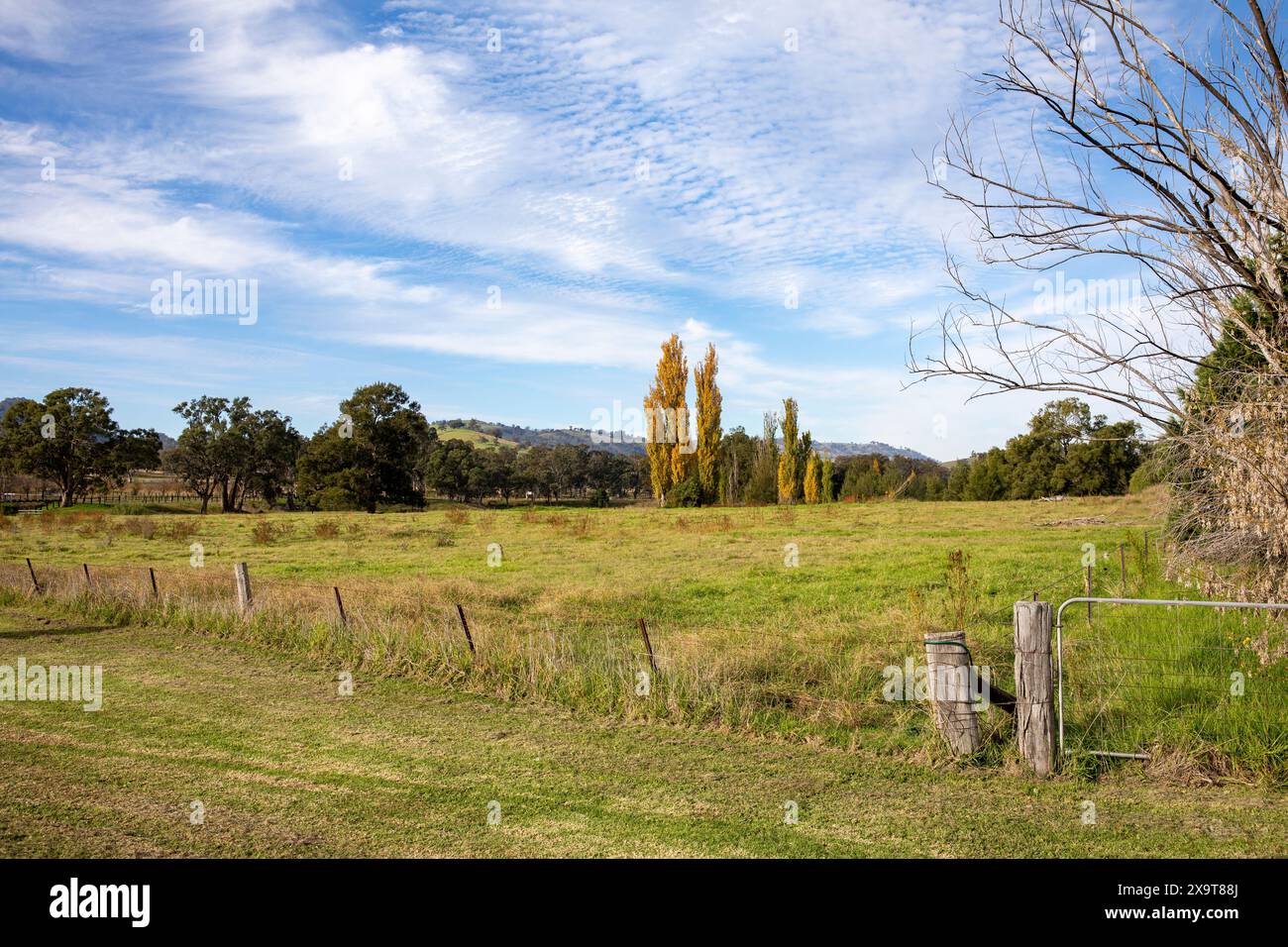 Rural Australia, farming land countryside between Scone and Tamworth off the New England highway, green fields and landscape,NSW,Australia Stock Photo