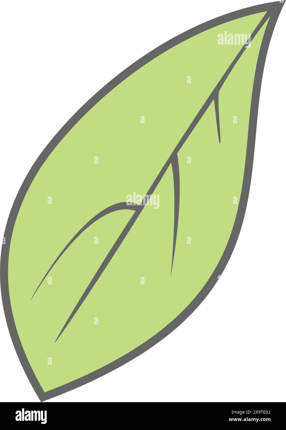 Simple green leaf with veins vector illustration Stock Vector Image ...