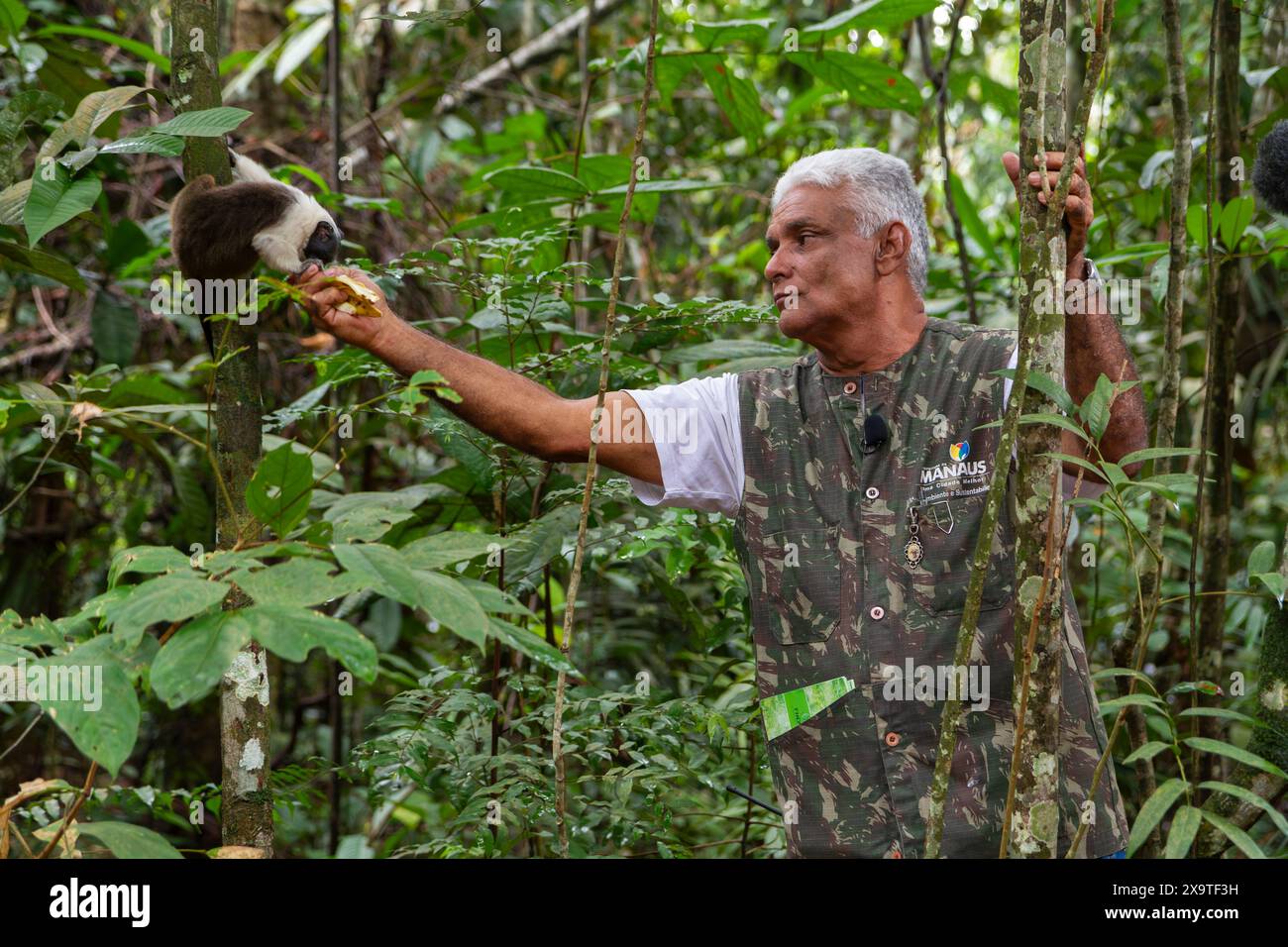 Park ranger feeds monkey in Amazon jungle Stock Photo - Alamy