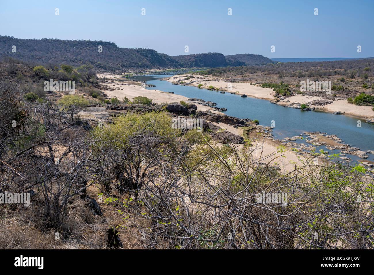 View over dry African savannah, Olifants River, Kruger National Park, South Africa Stock Photo