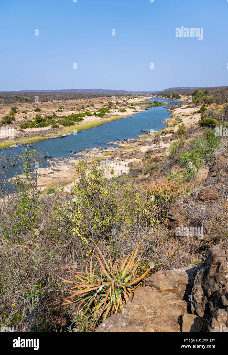 View over dry African savannah, Olifants River, Kruger National Park, South Africa Stock Photo