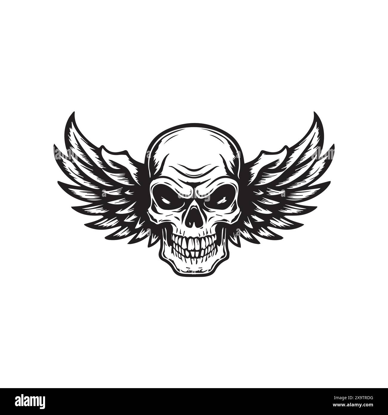 Skull wings vector illustration winged skull badge emblem design Stock